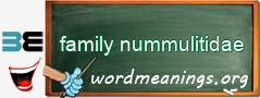 WordMeaning blackboard for family nummulitidae